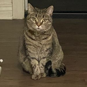 Meet your Posher, Elsy